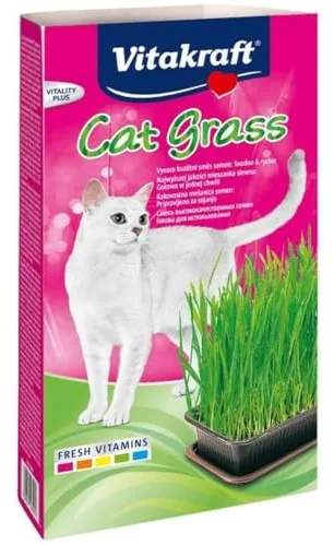 Vitakraft Cat Grass, Mezcla de Semillas de Hierba para Gatos, con vitaminas y minerales (1x 120g)