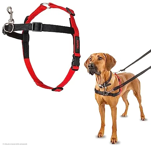 Arnés de control frontal HALTI - Para evitar que tu perro tire de la correa, Ajustable, Ligero y Fácil de Usar. Adiestramiento canino antitirones Arnés para perros grandes (Talla L)