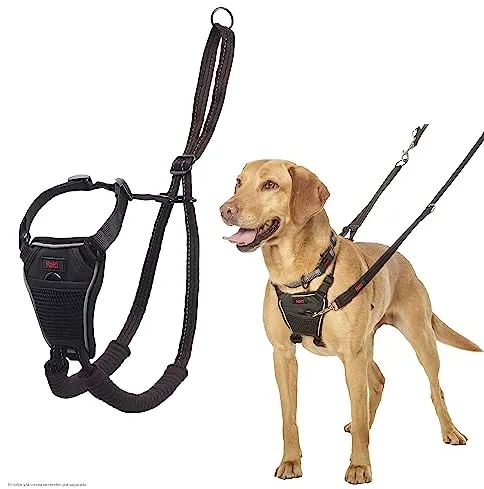 Arnés anti tirones HALTI - Para evitar que tu perro tire de la correa, Ajustable, Ligero y Fácil de Usar. Reflexiva Adiestramiento canino Arnés para perros medianos (Talla M, Negro)