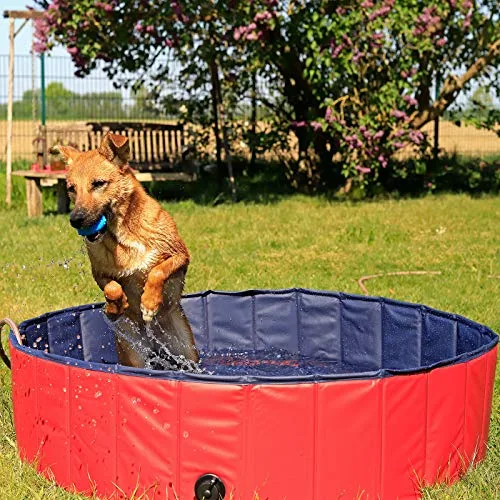 lionto Piscina plegable para perros bañera para perros piscina mascotas, Piscina para niños (M) 120 cm