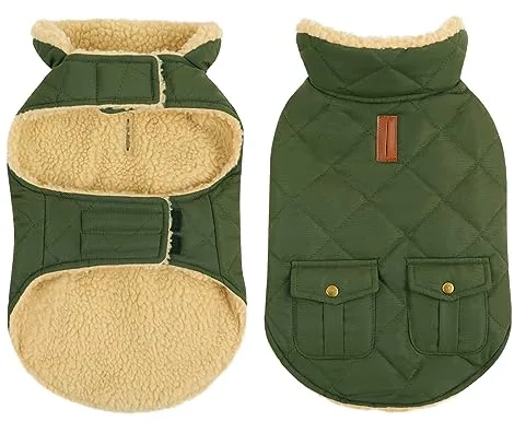 CITÉTOILE Abrigo para Perro Impermeable y Antiviento – Chaqueta Térmica de Invierno con Forro de Lana, Ropa Cálida para Perros con Agujeros de Correa y Reflejantes, Verde, XS
